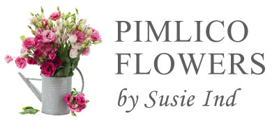 Pimlico Flowers
